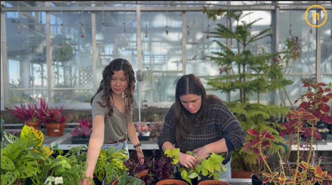 VIDEO: A look inside NKU's own greenhouse