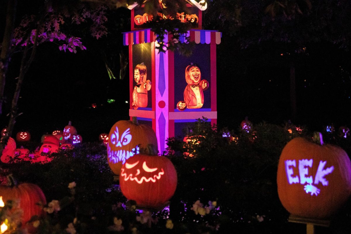 Cincinnati Zoo’s newest tradition brings pumpkin art to life