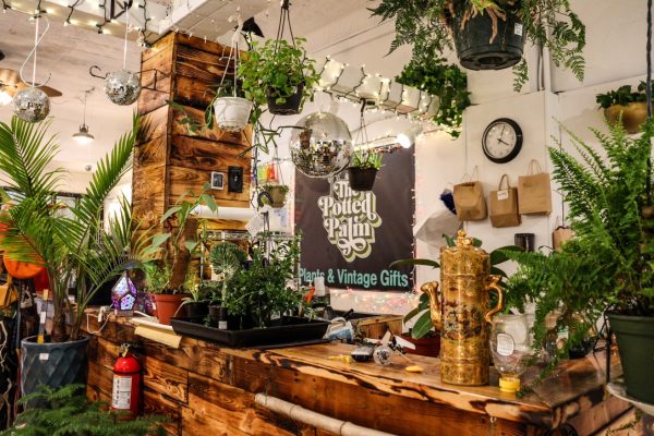 The Potted Palm: Where creativity and community grow